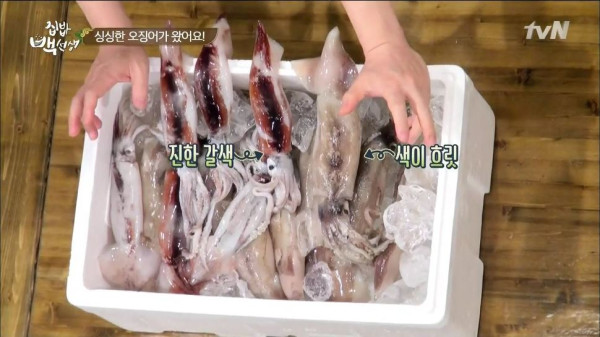 3556424094_DA3uyeX8_8ef24cc636f38ccde293827bb48d5e2fc551caa9