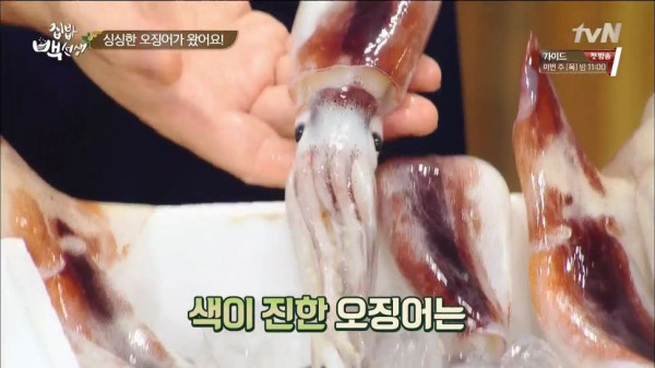 3556424094_Ohn9WlKe_848507aec01e13fb4986d58b5d245f1fdb4bb36b