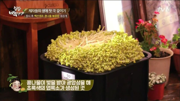 3556424094_dVlbts0I_1ddebdaebb5a2324b9ce3751f572faaaf9c3f6f3