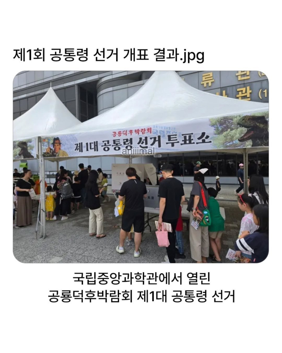 manipulate_img(this)