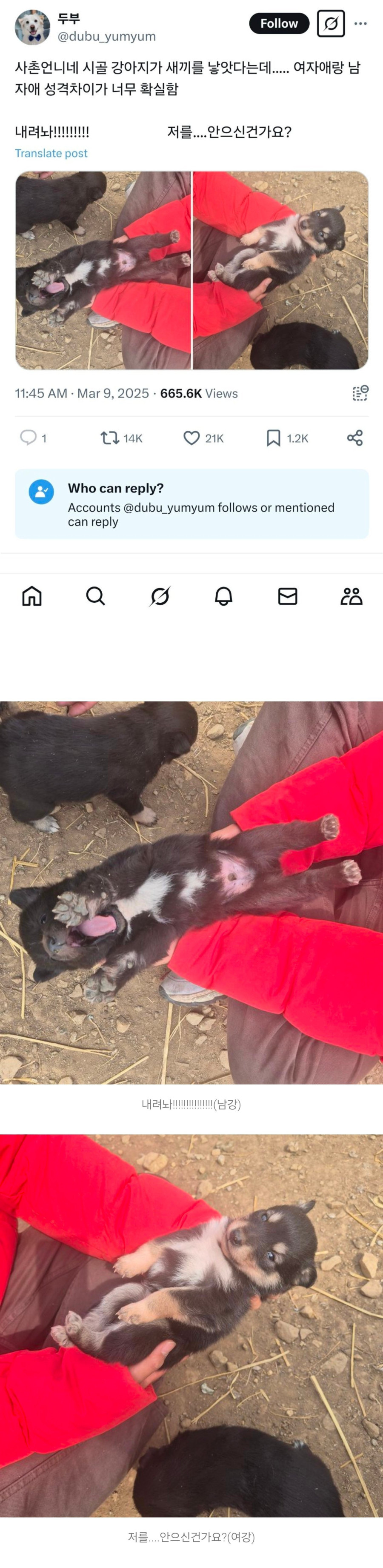 manipulate_img(this)