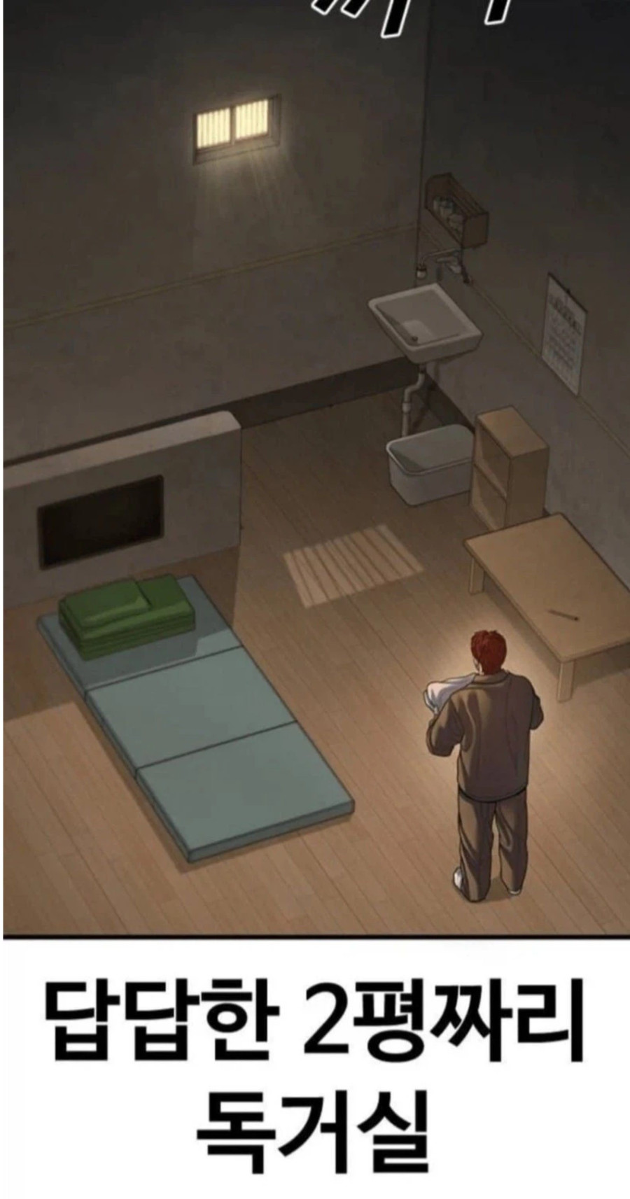 평수를 몰랐던 웹툰작가.JPG